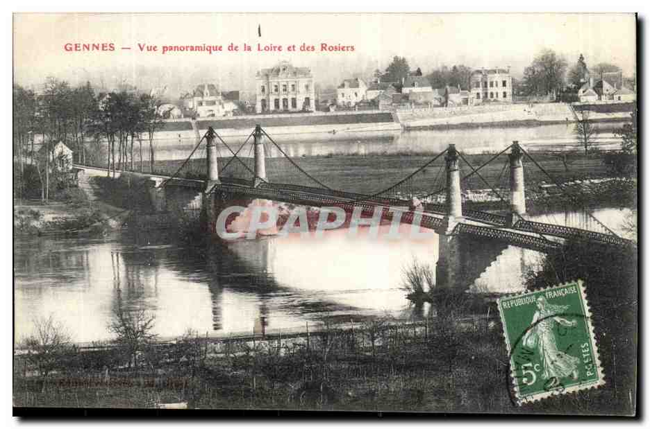 Gennes- Vue panoramique de la Loire et des Rosier -CPA