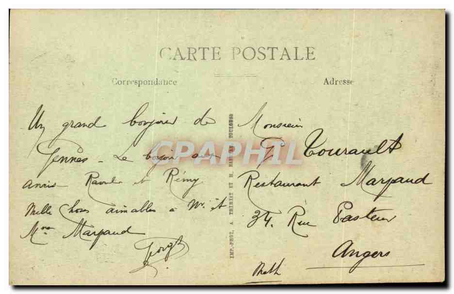 Gennes- Avenue des Marronieres -CPA — Back