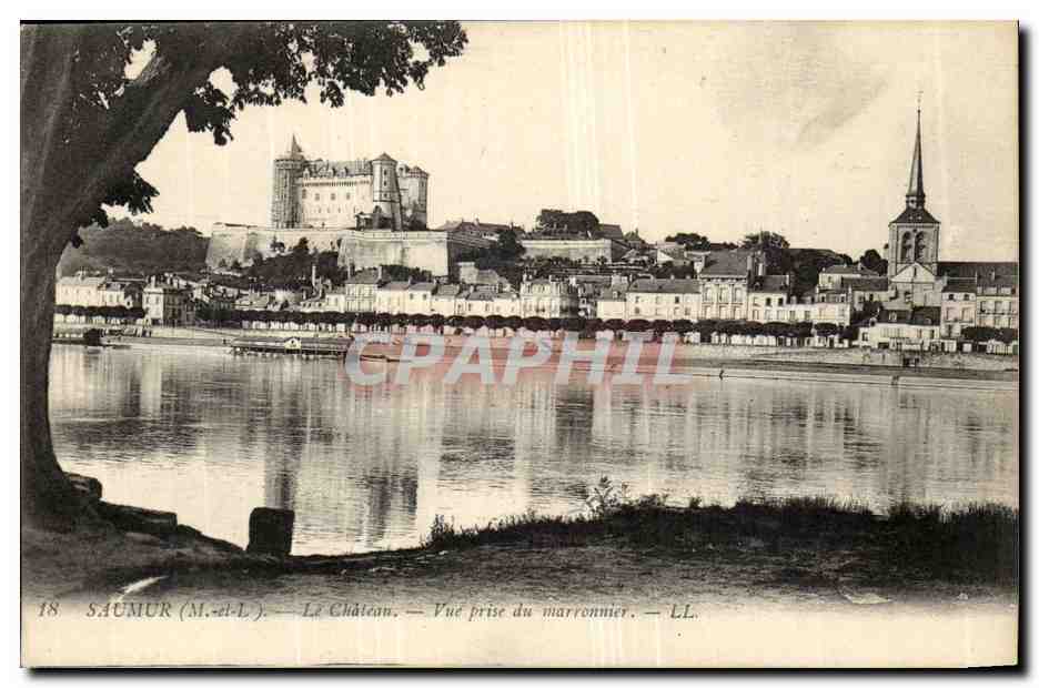 Saumur CPA le chateau Vue prise du marronnier