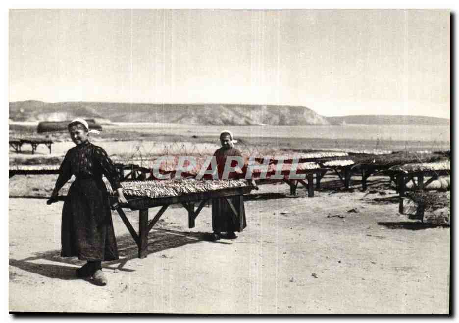 CPM Bretagne d'hier SEchage des sardines (metiers peche)