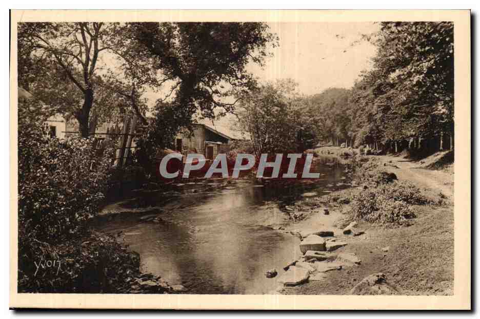 Pont Aven CPA L'aven au bois d'amour