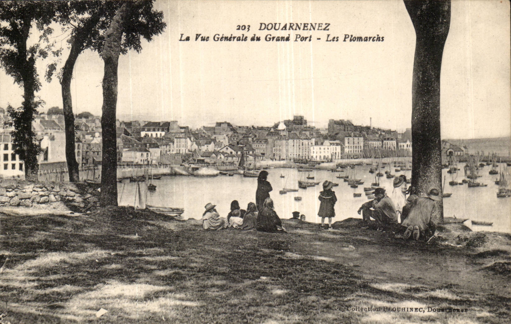 Douarnenez CPA La vue generale du grand port Les Plomarchs