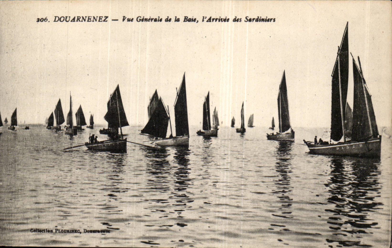 Douarnenez CPA Vue generale de la baie l'arrivee des sardiniers