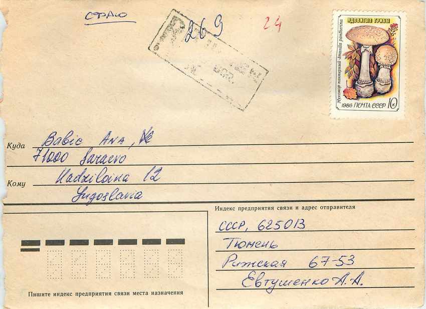 Russie Russia Entier Postal Stationary Champignon Champignons