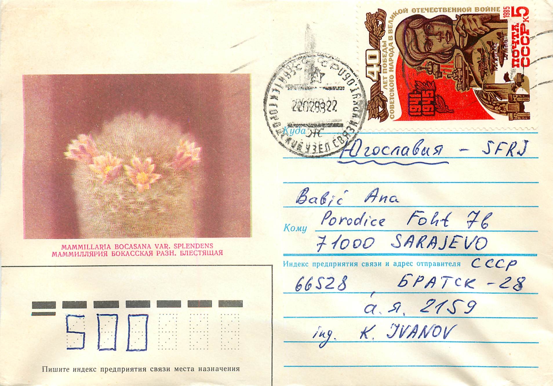 Russie Russia Entier Postal Stationary Fleurs Cactus