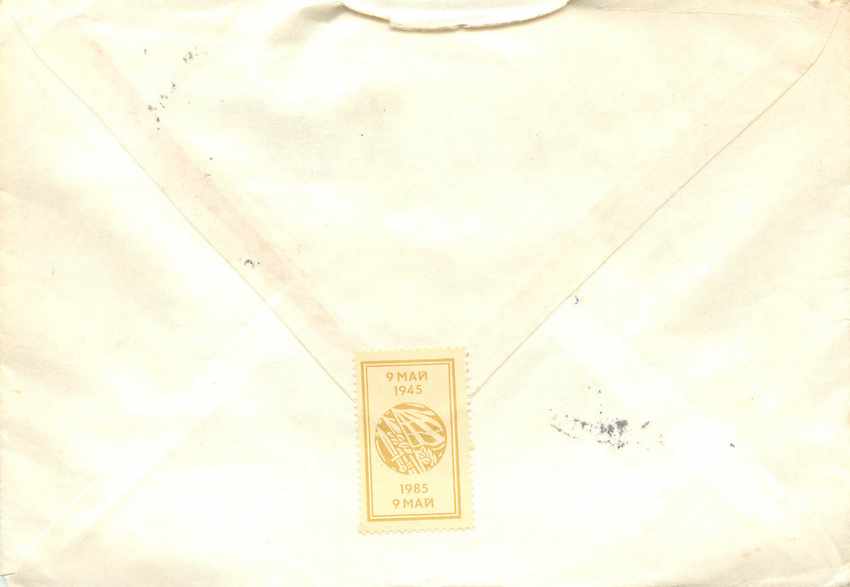 Lettre Cover Russie Russia Papillon — Verso