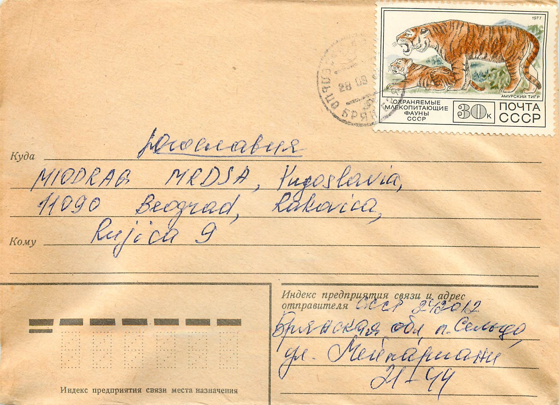 Russie Russia Lettre Cover Tigre