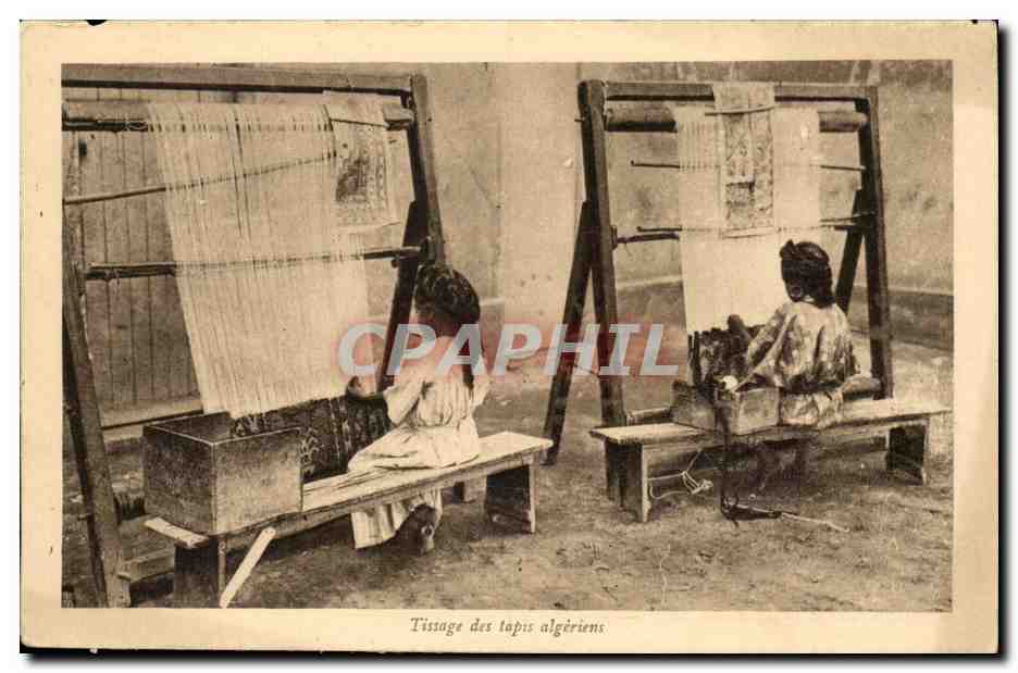CPA Tissage des tapis algeriens (metiers)