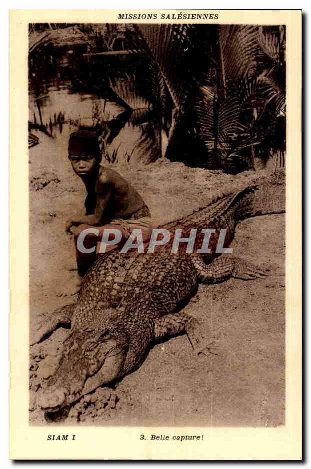 CPA Missions salesiennes Siam Belle capture (india Inde Thailande Thailand crocodile)