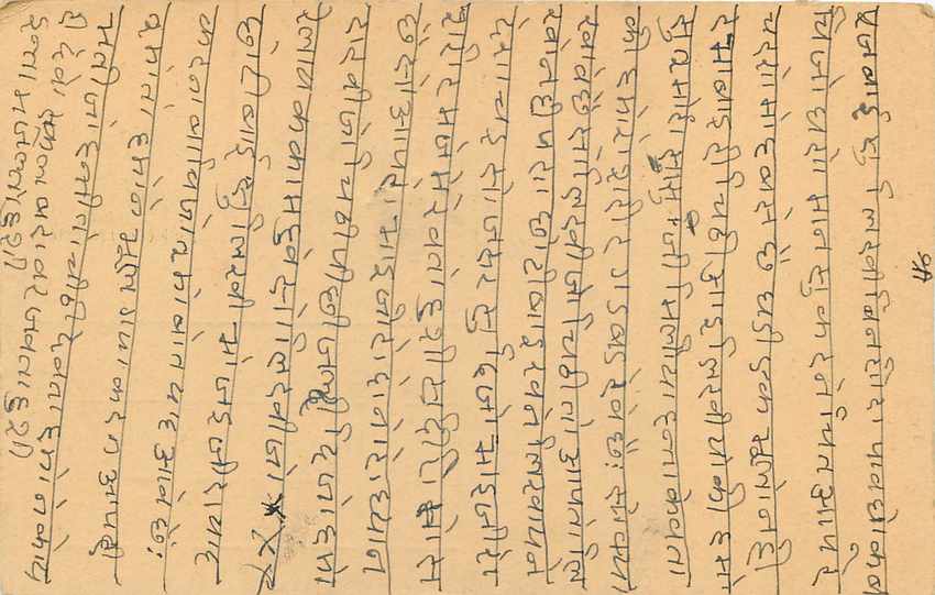 Inde India Entier Postal Stationary Tigre — Verso