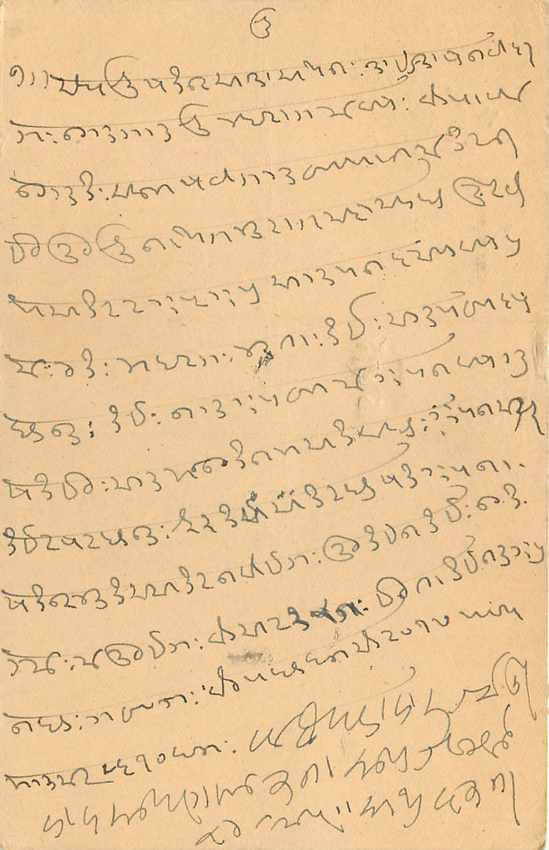 Inde India Entier Postal Stationary Tigre — Verso