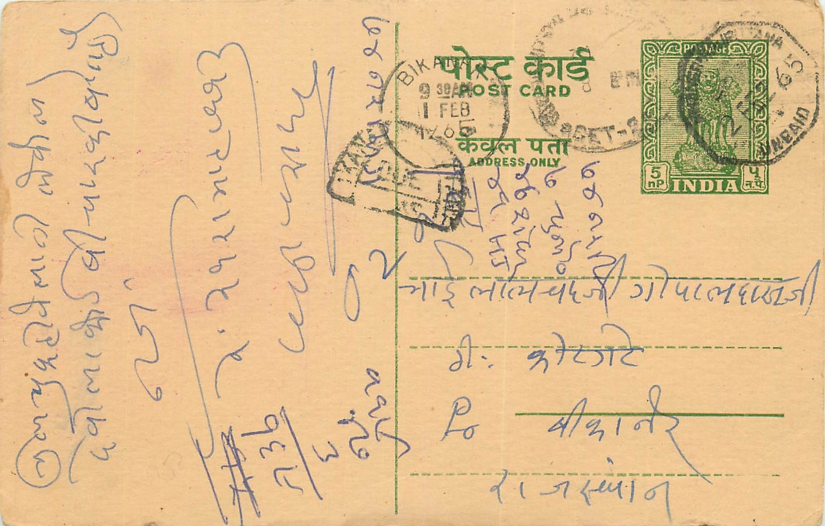 Inde India Entier Postal Stationary Tigre