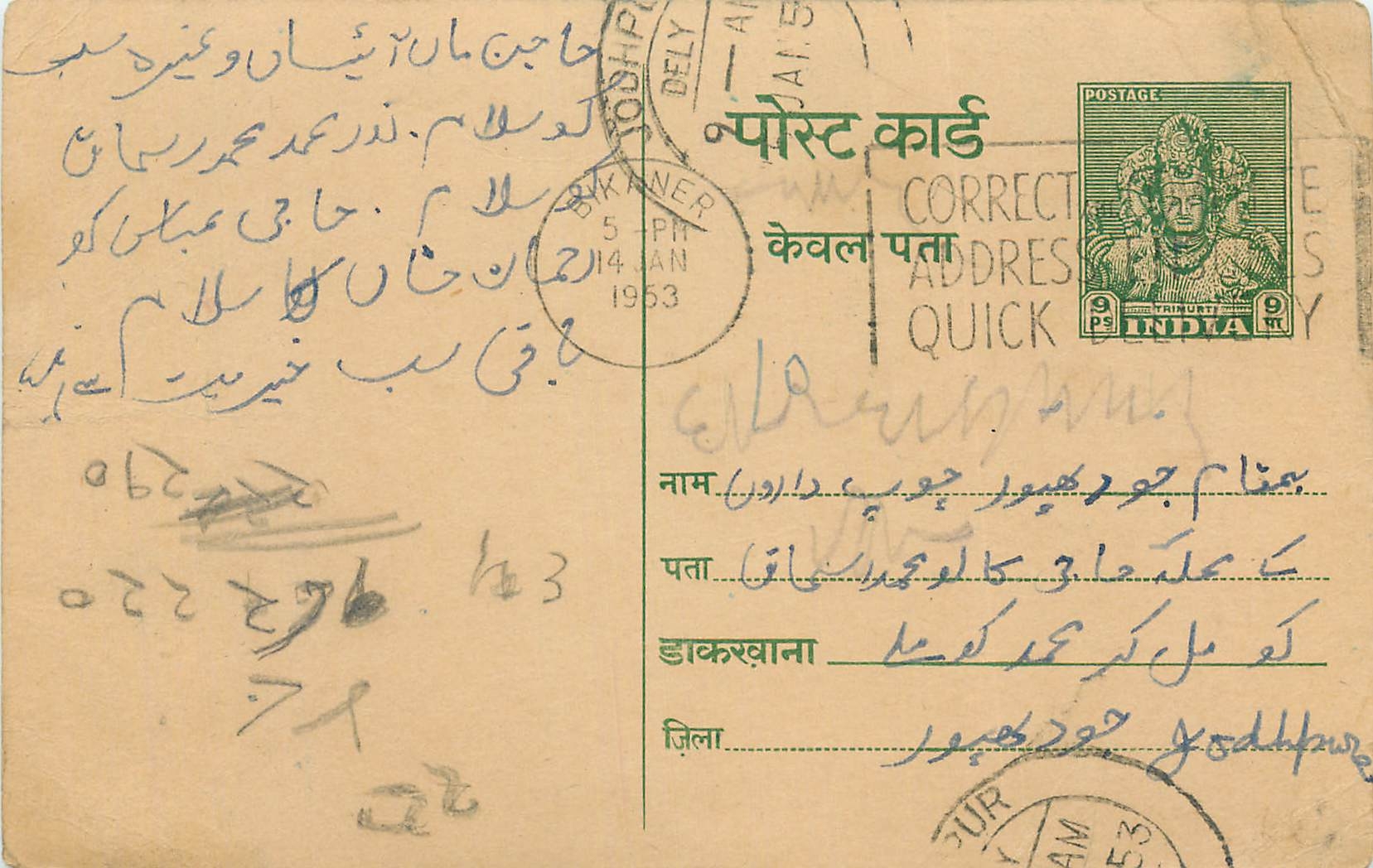 Inde India Entier Postal Stationary Tigre