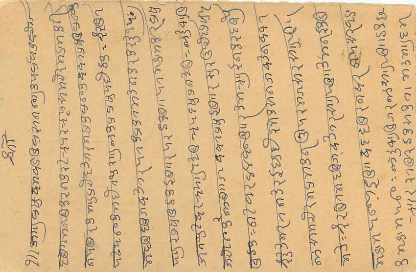 Inde India Entier Postal Stationary Tigre — Verso