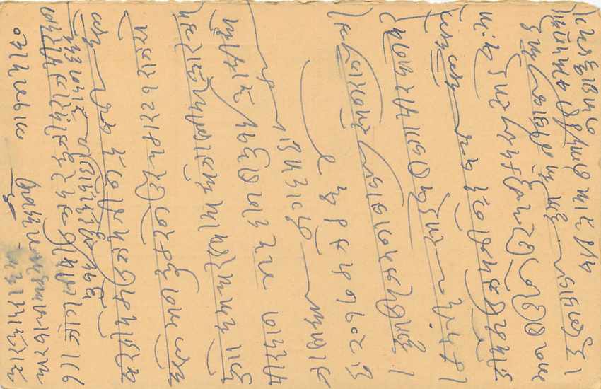 Inde India Entier Postal Stationary Tigre — Verso
