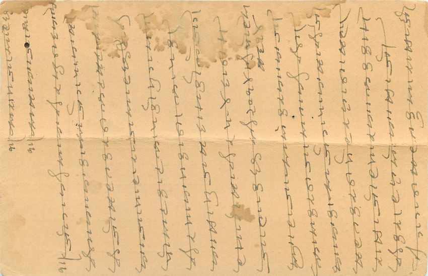 Inde India Entier Postal Stationary Tigre — Verso