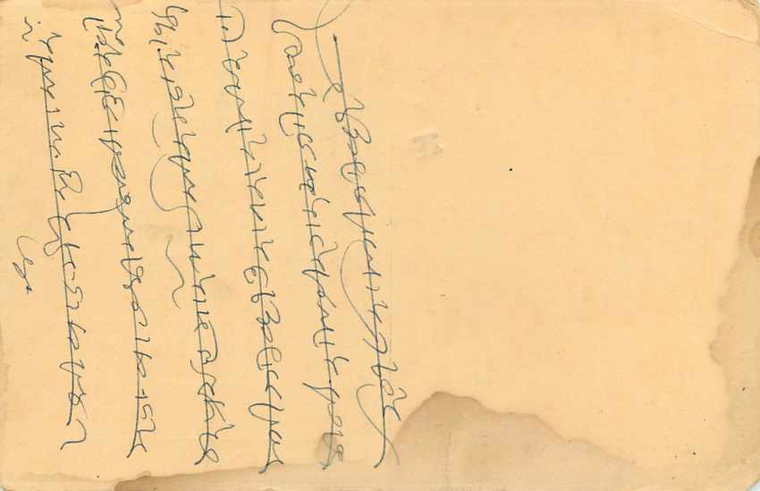 Inde India Entier Postal Stationary Tigre — Verso
