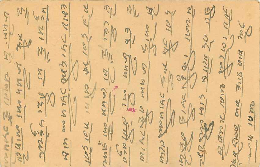 Inde India Entier Postal Stationary Tigre — Verso