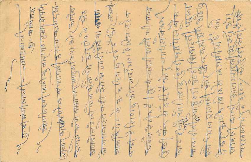 Inde India Entier Postal Stationary Tigre — Verso
