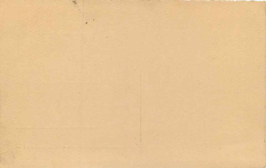 Inde India Entier Postal Stationary Tigre — Verso