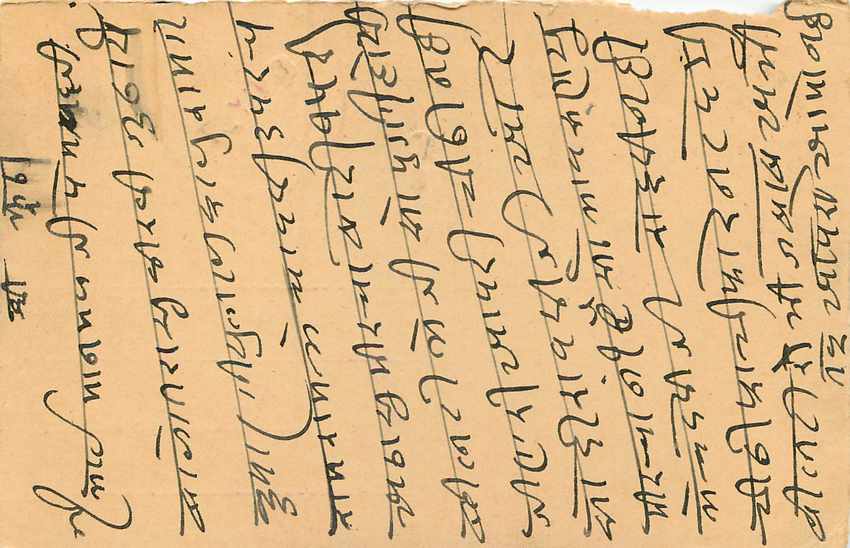 Inde India Entier Postal Stationary Tigre — Verso