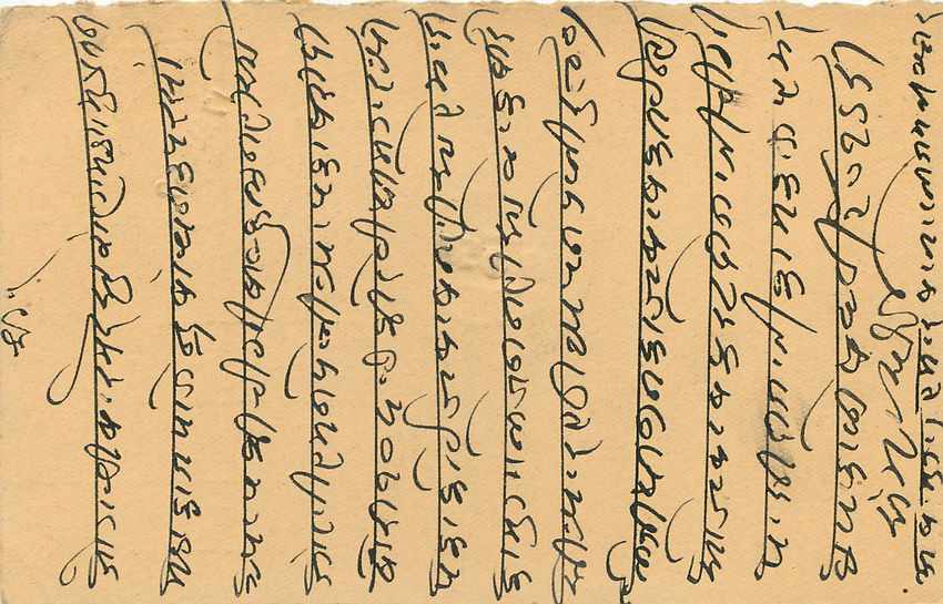 Inde India Entier Postal Stationary Tigre — Verso