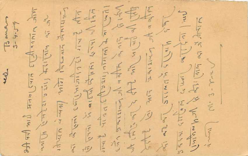 Inde India Entier Postal Stationary Tigre — Verso