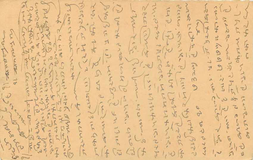 Inde India Entier Postal Stationary Tigre — Verso