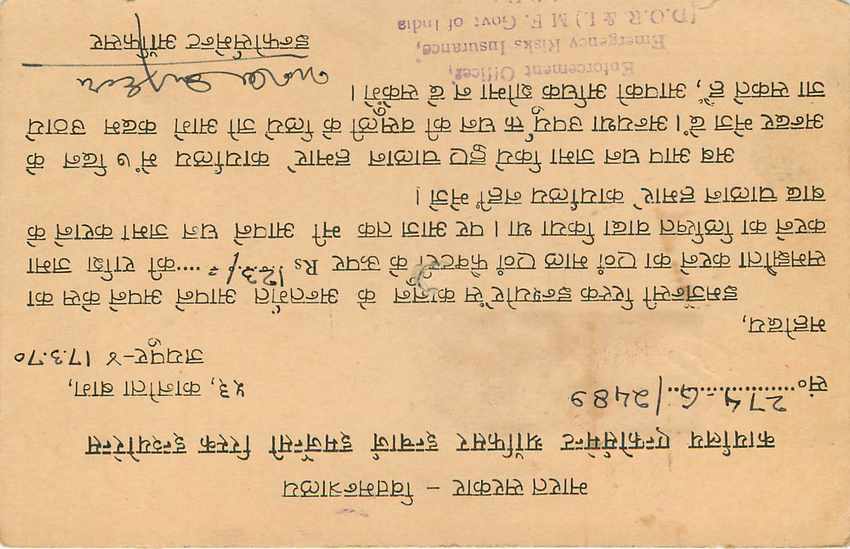Inde India Entier Postal Stationary Tigre — Verso