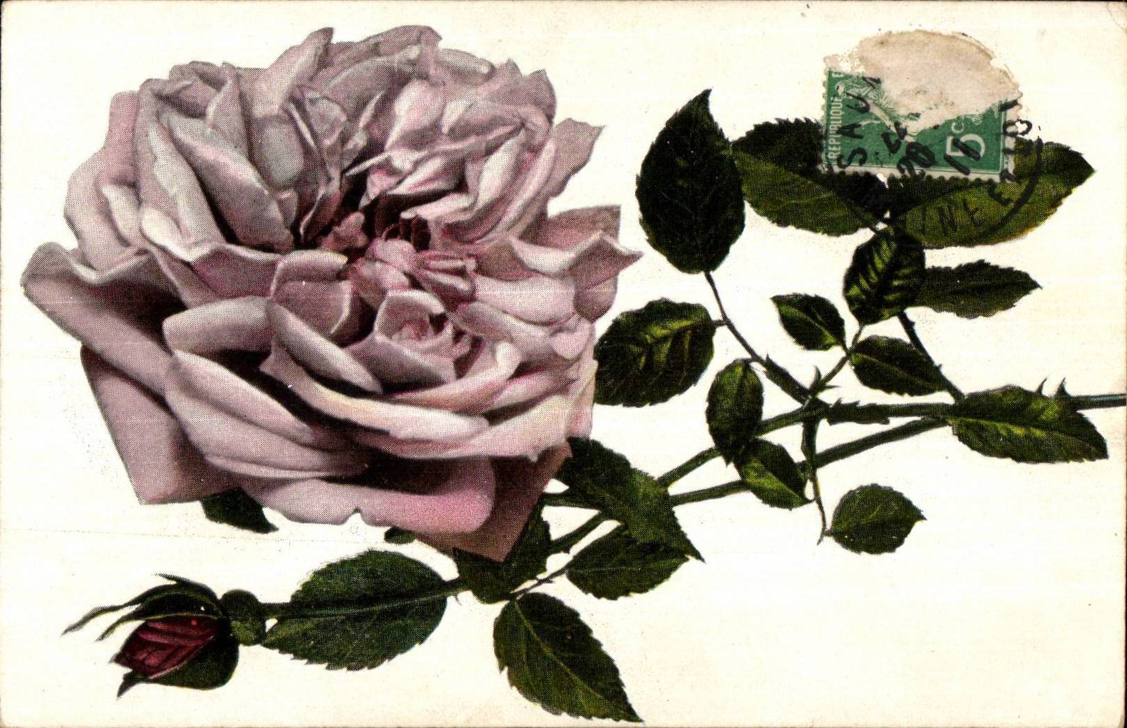 CPA Fantaisie Fleurs Rose