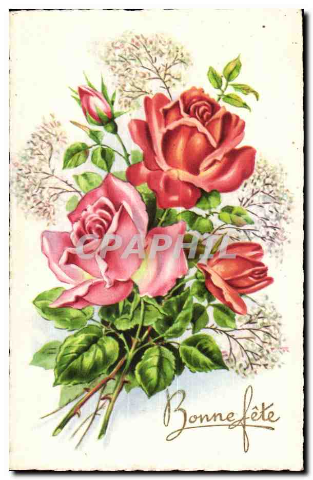 CPA Fantaisie Fleurs Rose