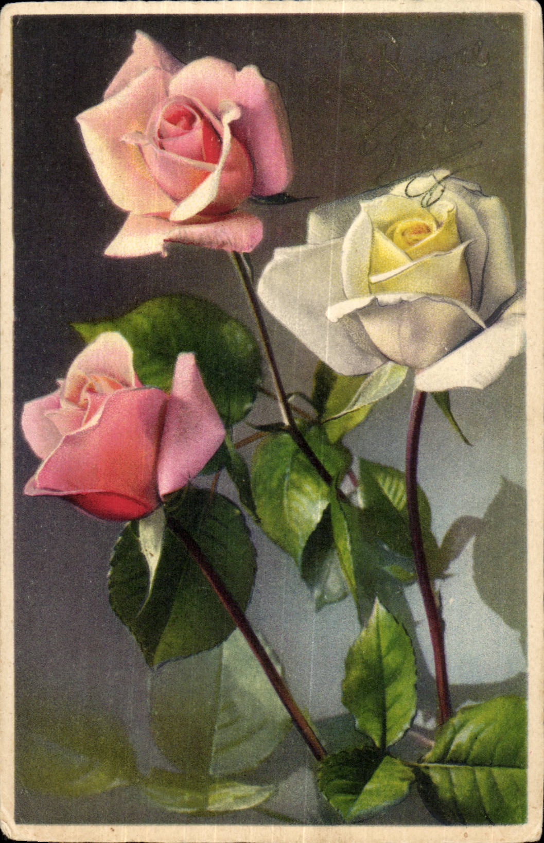 CPA Fantaisie Fleur Rose