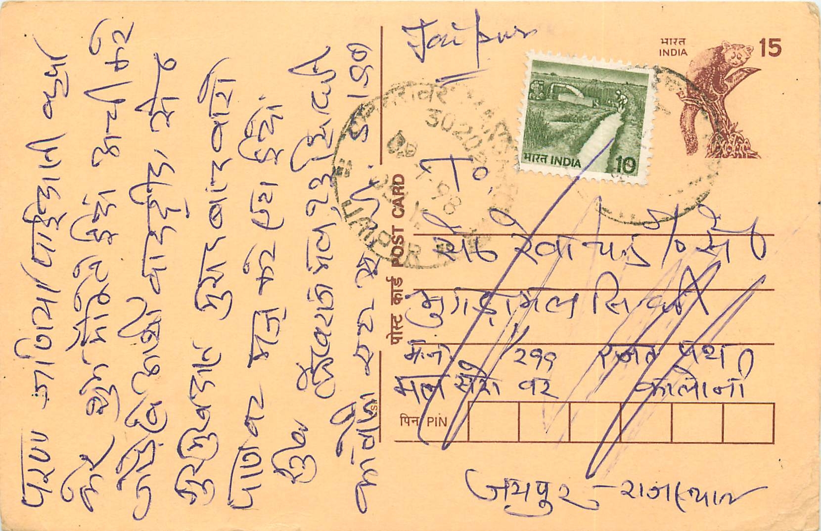Inde India Cover Card Postal Stationary Singe Monkey Lemurien