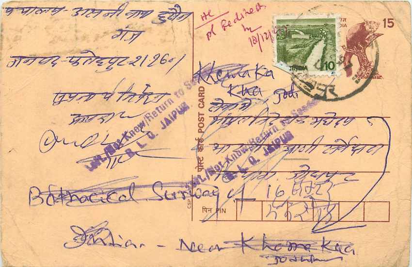 Inde India Cover Card Postal Stationary Singe Monkey Lemurien