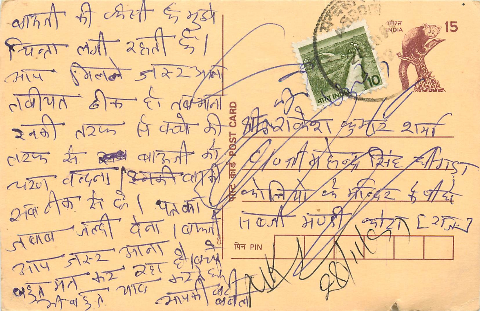 Inde India Cover Card Postal Stationary Singe Monkey Lemurien