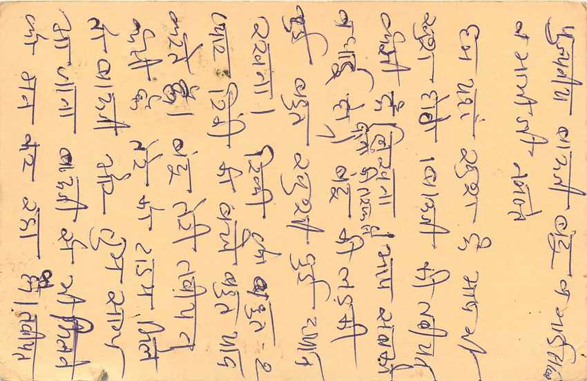 Inde India Cover Card Postal Stationary Singe Monkey Lemurien — Verso