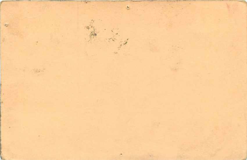 Inde India Cover Card Postal Stationary Singe Monkey Lemurien — Verso