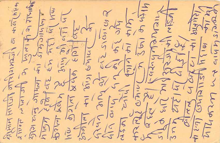 Inde India Cover Card Postal Stationary Singe Monkey Lemurien — Verso
