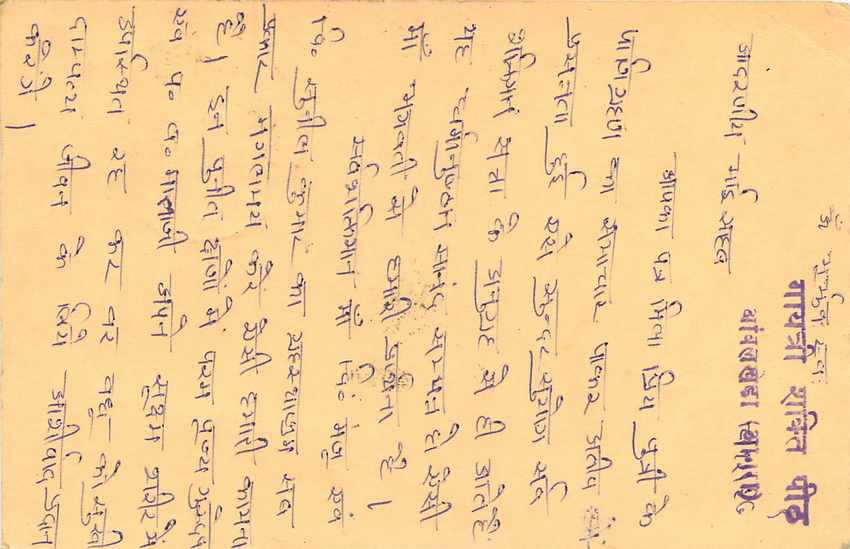Inde India Cover Card Postal Stationary Singe Monkey Lemurien — Verso