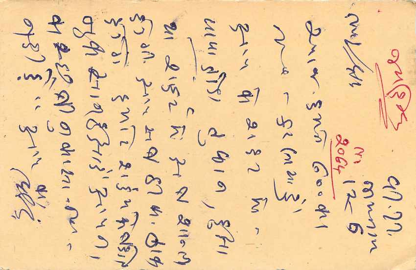 Inde India Cover Card Postal Stationary Tigre — Rückseite
