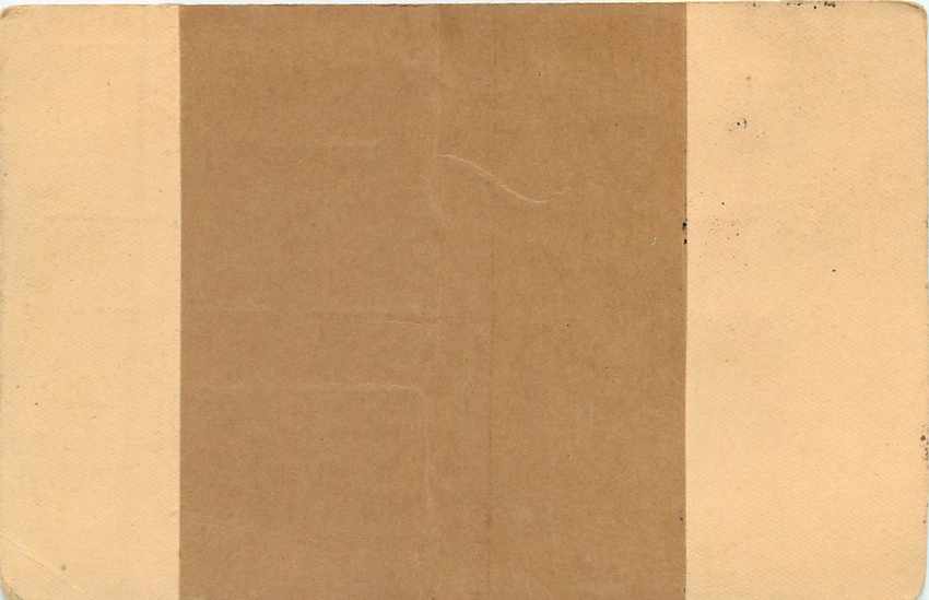 Inde India Cover Card Postal Stationary Tigre — Rückseite