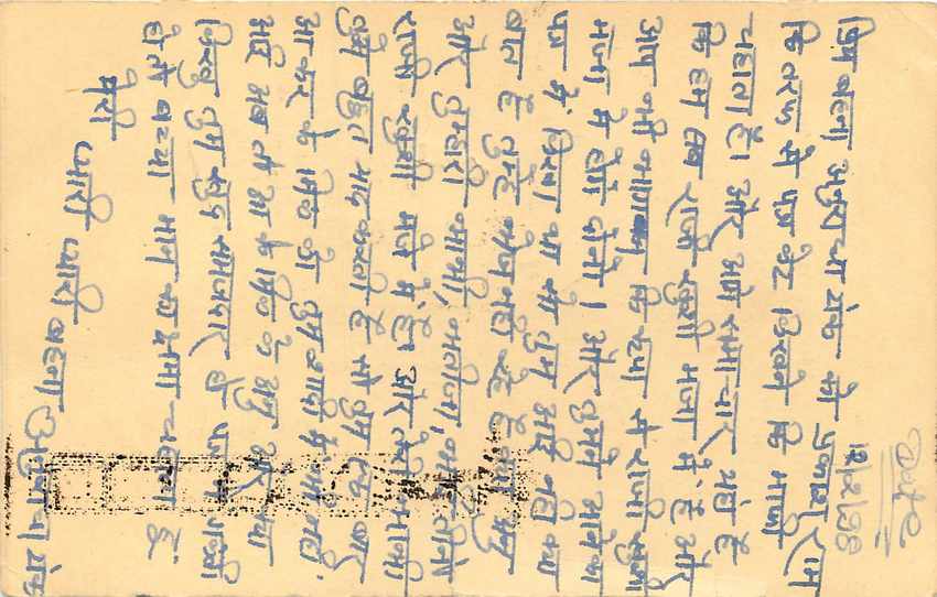 Inde India Cover Card Postal Stationary Tigre — Verso
