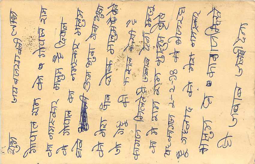 Inde India Cover Card Postal Stationary Tigre — Verso
