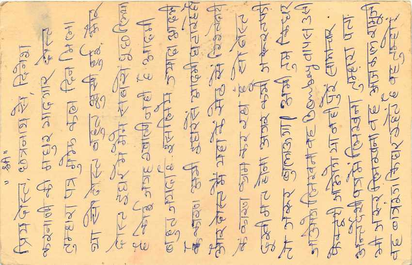 Inde India Cover Card Postal Stationary Singe Monkey Lemurien — Verso