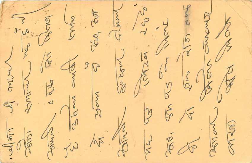 Inde India Cover Card Postal Stationary Singe Monkey Lemurien — Verso