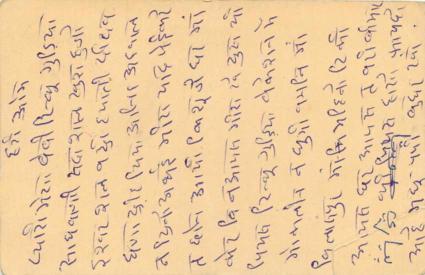 Inde India Cover Card Postal Stationary Singe Monkey Lemurien — Verso