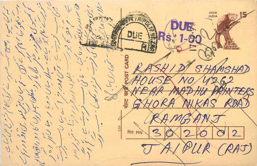 Inde India Cover Card Postal Stationary Singe Monkey Lemurien