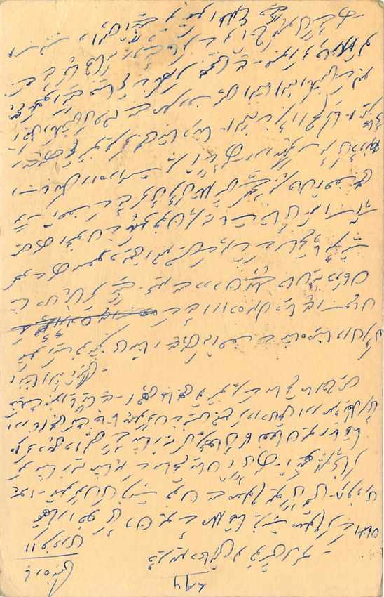 Inde India Cover Card Postal Stationary Singe Monkey Lemurien — Verso