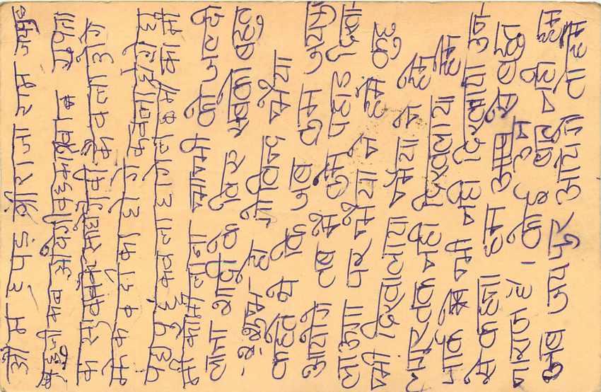 Inde India Cover Card Postal Stationary Singe Monkey Lemurien — Verso
