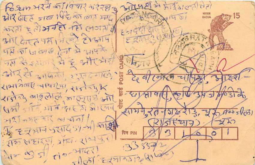 Inde India Cover Card Postal Stationary Singe Monkey Lemurien